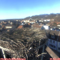 15_00-nest.jpg