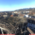 15_10-nest.jpg