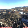 15_30-nest.jpg