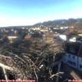 15_40-nest.jpg