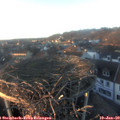 16_30-nest.jpg
