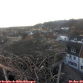 16_45-nest.jpg