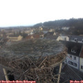 08_20-nest.jpg