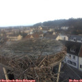 08_35-nest.jpg