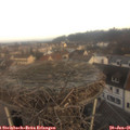 08_40-nest.jpg