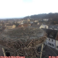 08_45-nest.jpg