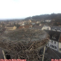 08_55-nest.jpg