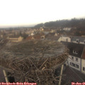 09_05-nest.jpg