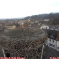 09_10-nest.jpg