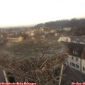 09_20-nest.jpg