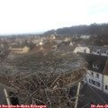 09_25-nest.jpg