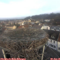 09_30-nest.jpg