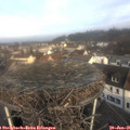 09_35-nest.jpg