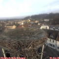 09_40-nest.jpg
