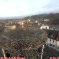 09_45-nest.jpg