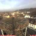 10_05-nest.jpg