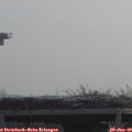 10_10-mast.jpg