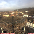 10_10-nest.jpg