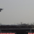 10_20-mast.jpg