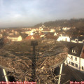 10_20-nest.jpg