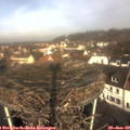 10_25-nest.jpg