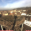 10_50-nest.jpg