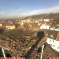 11_45-nest.jpg