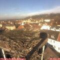 11_55-nest.jpg