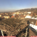 12_15-nest.jpg