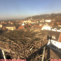 12_25-nest.jpg