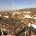 12_35-nest.jpg