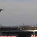 12_40-mast.jpg