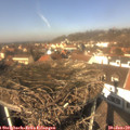12_40-nest.jpg