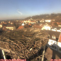 12_50-nest.jpg