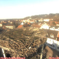 13_00-nest.jpg