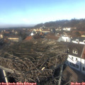 13_05-nest.jpg