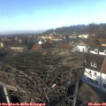 13_10-nest.jpg