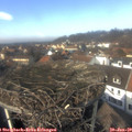 13_15-nest.jpg