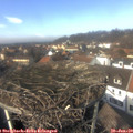 13_20-nest.jpg