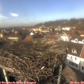13_25-nest.jpg