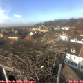 13_30-nest.jpg