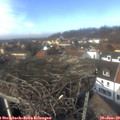 13_35-nest.jpg