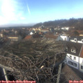 13_40-nest.jpg
