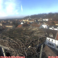 13_45-nest.jpg