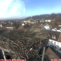 13_50-nest.jpg