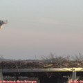 13_55-mast.jpg