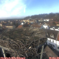 13_55-nest.jpg