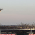 14_00-mast.jpg
