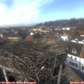14_00-nest.jpg