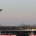 14_10-mast.jpg